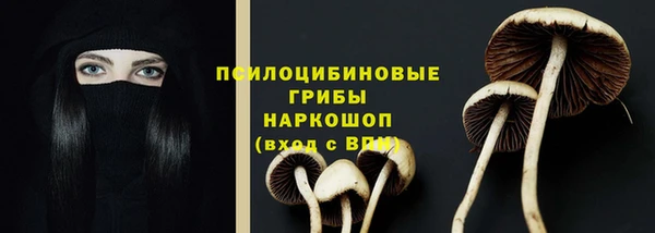 мяу мяу кристалл Иннополис