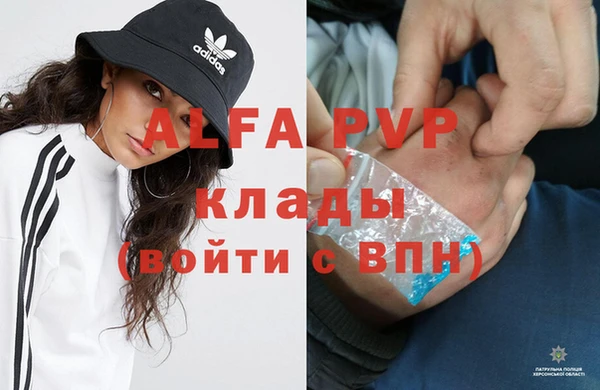 амф Инта