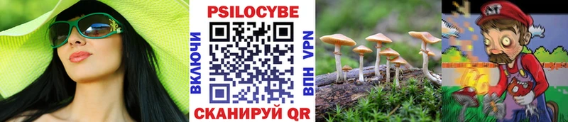 Купить где  Ялуторовск  Галлюциногенные грибы прущие грибы 